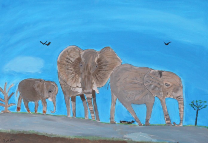 Tjitske Olifanten safari 2020